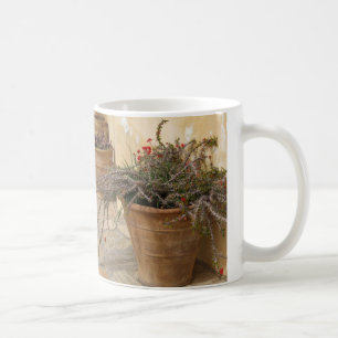 Rustieke mediterrane cactussen Plant potten Mok