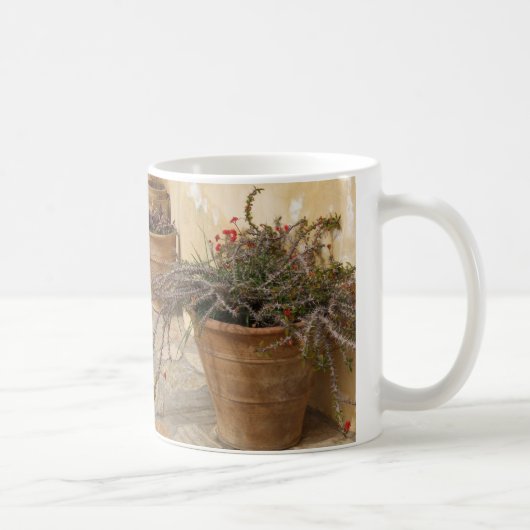 Rustieke mediterrane cactussen Plant potten Mok (Rechts)