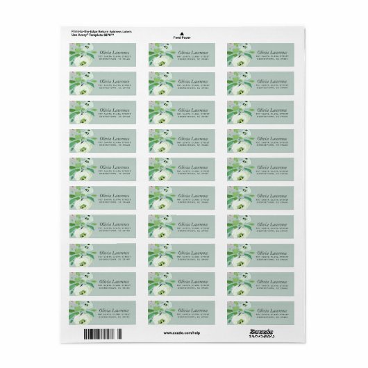 Rustieke Mint Abstracte Floral retour adreslabels Etiket (Full Sheet)