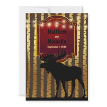 Rustieke Moose, Gouden Aspen Bomen en Lichten Brui