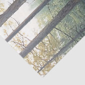 Rustieke Morel Paddestoelen Illustratie Decoupage Tissuepapier (Detail)