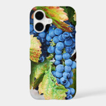 Rustieke Napa Valley wijnland Merlot Case