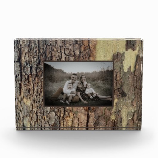 Rustieke natuurlijke noodlijdende bomen met boomsc fotoblokken (Voorkant)