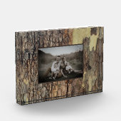 Rustieke natuurlijke noodlijdende bomen met boomsc fotoblokken (Links)