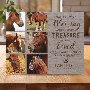 Rustieke Paard Herdenkingsfoto Fotoplaat