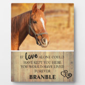 Rustieke Paarden Herdenkingsfoto Fotoplaat (Voorkant)