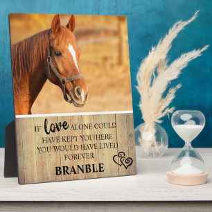 Rustieke Paarden Herdenkingsfoto Fotoplaat