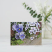 Rustieke Paarse Pansy Floral Briefkaart Pansies (Staand voorkant)