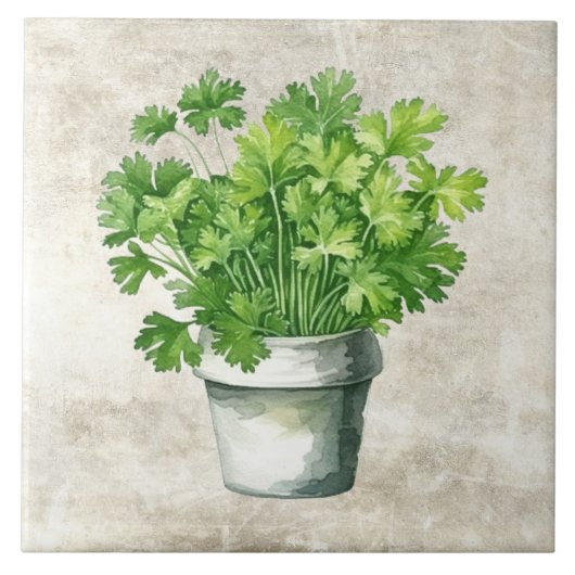 Rustieke peterselie Kruiden Neutrale  Waterverven Tegeltje (Voorkant)