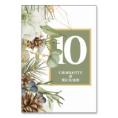 Rustieke Pinecones Border Table Nummers Kaart (Achterkant)