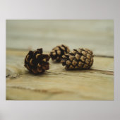 Rustieke Pinecones op Wood Natuur Stilleven Foto Poster (Voorkant)