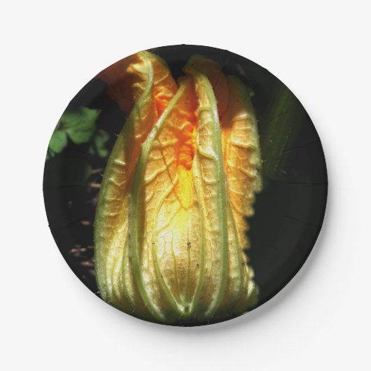 Rustieke, pompoenbloesem aangepaste papieren Borde Papieren Bordje (Voorkant)