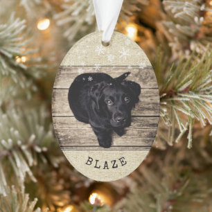 Rustieke Puppy Volwassen Hond Sneeuwvlok 2 Foto Aa Ornament