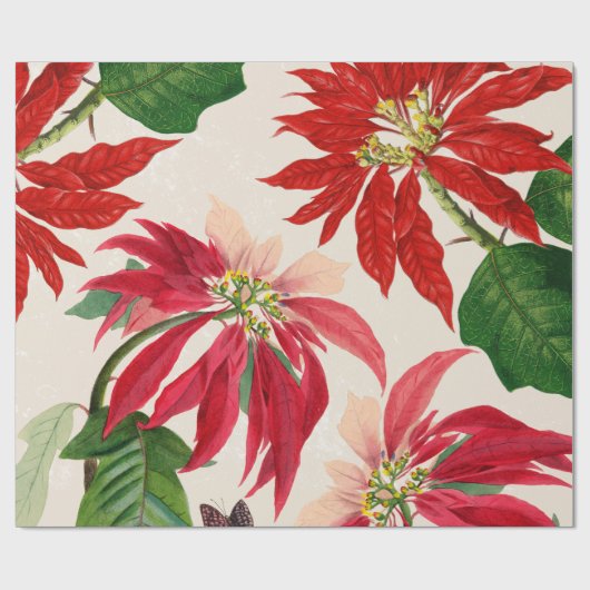 Rustieke Rode Waterverf Poinsettia Bloemengroen Cadeaupapier (Vlak)