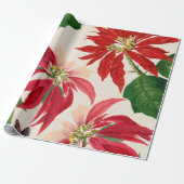 Rustieke Rode Waterverf Poinsettia Bloemengroen Cadeaupapier (Uitgerold)