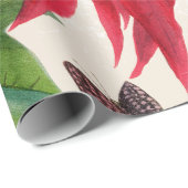 Rustieke Rode Waterverf Poinsettia Bloemengroen Cadeaupapier (Rol Hoek)