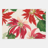 Rustieke Rode Waterverf Poinsettia Bloemengroen Inpakpapier Vel (Voorkant 2)