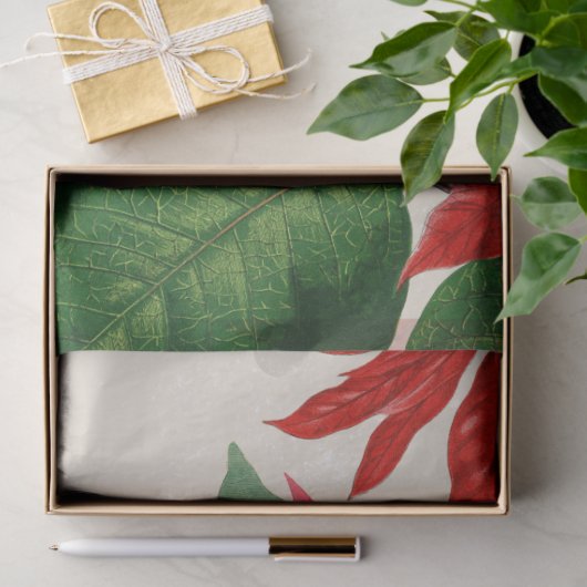 Rustieke Rode Waterverf Poinsettia Bloemengroen Tissuepapier (Geschenk)
