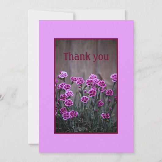 Rustieke Roze Dianthus Bloemen Flat Dank u kaart (Voorkant)