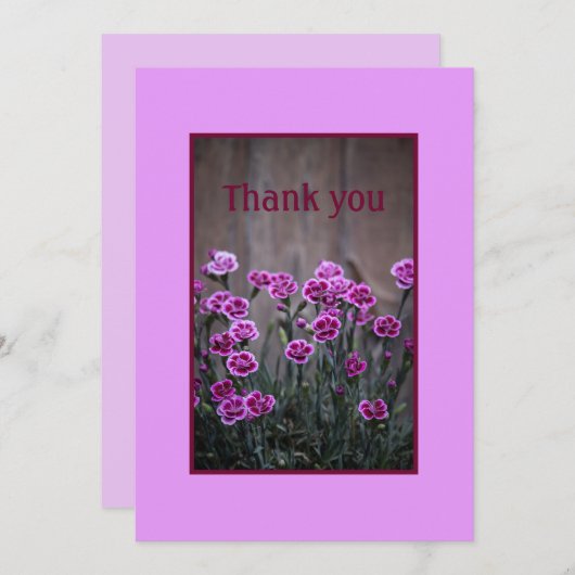 Rustieke Roze Dianthus Bloemen Flat Dank u kaart (Voorkant / Achterkant)