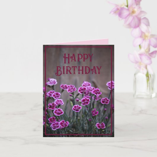 Rustieke Roze Dianthus Bloemen Verjaardag Kaart (Orchidee)
