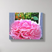  Rustieke Roze Pioenbloem Canvas Afdruk (Voorkant)