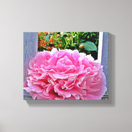  Rustieke Roze Pioenbloem Canvas Afdruk