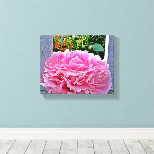  Rustieke Roze Pioenbloem Canvas Afdruk (Insitu (Houten vloer))