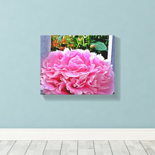 Rustieke Roze Pioenbloem Canvas Afdruk (Insitu (Houten vloer))