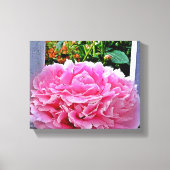  Rustieke Roze Pioenbloem Canvas Afdruk (Voorkant)