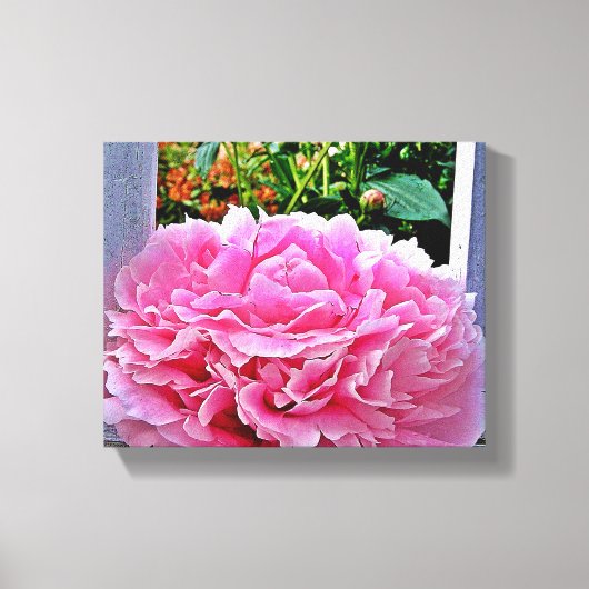  Rustieke Roze Pioenbloem Canvas Afdruk (Voorkant)
