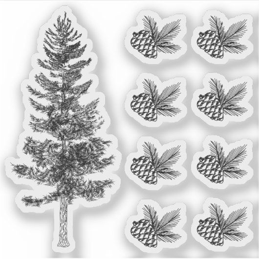 Rustieke schets Pine Tree & Cones Bos Woodland Sticker (Voorkant)