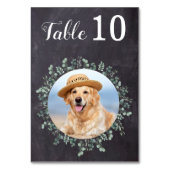 Rustieke schoolbord Eucalyptus moderne foto bruilo Kaart (Voorkant)