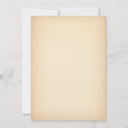 Rustieke Schuur Boerderij Land Zonnebloem Daisy We Kaart (Achterkant)