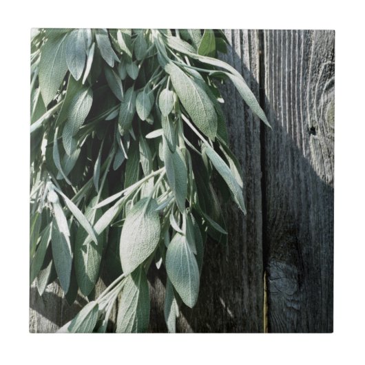 Rustieke schuur-hout botanische kruiden tegeltje (Voorkant)