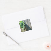 Rustieke schuur hout kruiden groen vierkante sticker (Envelop)