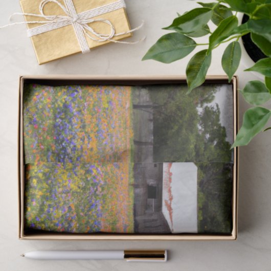 Rustieke schuur Texas Bluebonnets Decoupage Tissuepapier (Geschenk)