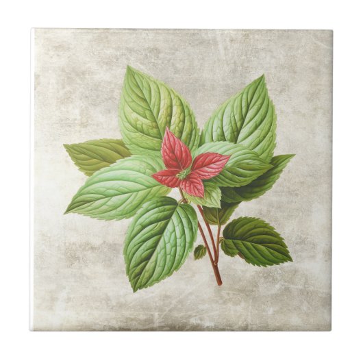 Rustieke Shabby Chic Groene Keramiek Cottage Tegeltje (Voorkant)