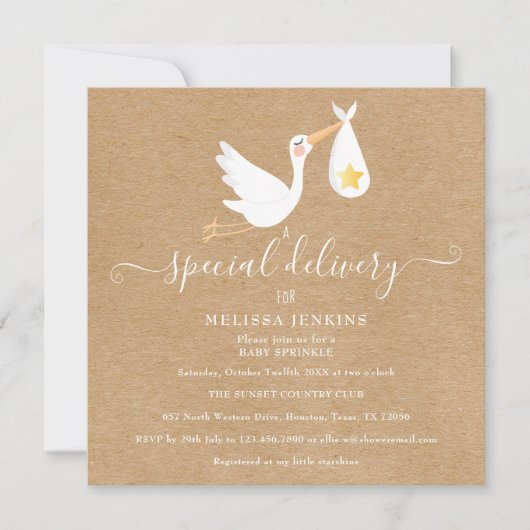 Rustieke speciale bezorging ooievaar baby sprinkle kaart (Voorkant)