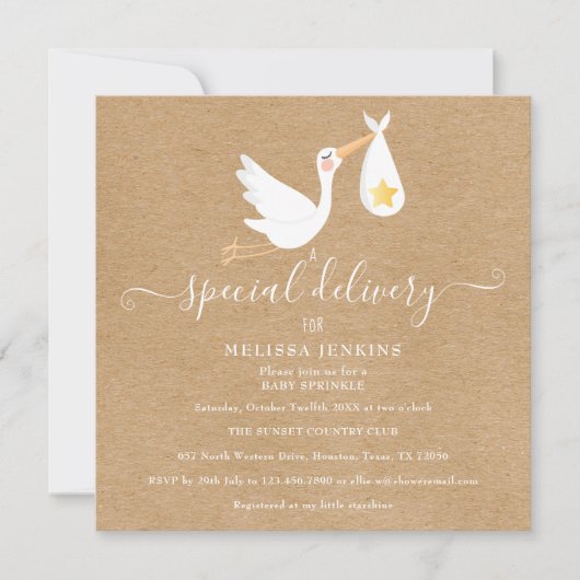 Rustieke speciale levering Ooievaar Baby Sprinkle  Kaart (Voorkant)