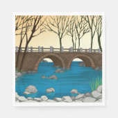 Rustieke stenen brug over de Natuur Servet (Voorkant)