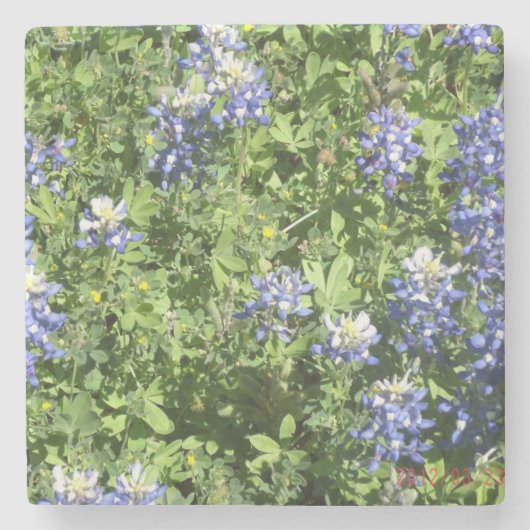 Rustieke stenen Onderzetters met Bluebonnets (Voorkant)