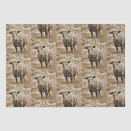 Rustieke stier op Boerderij Pattern Decoupage Tissuepapier