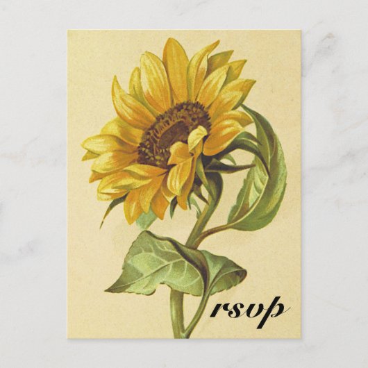 Rustieke  Stijl Zonnebloem "rsvp" Briefkaart (Voorkant)