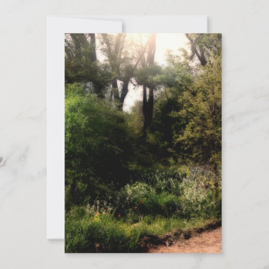 Rustieke Trail Bloemen Betoverd Woud Lente Formeel Kaart (Achterkant)