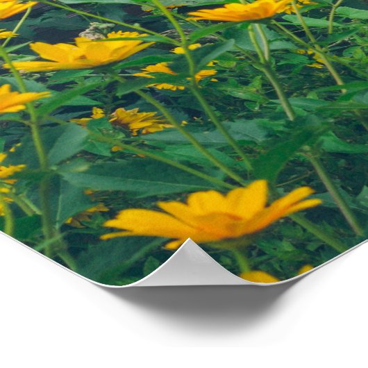 Rustieke tuin en een gezellig huisje poster (Hoek)