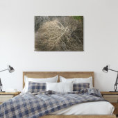 Rustieke Tumbleweed Wrapped Canvas Art (Insitu (Slaapkamer))
