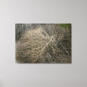 Rustieke Tumbleweed Wrapped Canvas Art (Voorkant)