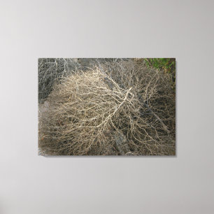 Rustieke Tumbleweed Wrapped Canvas Art