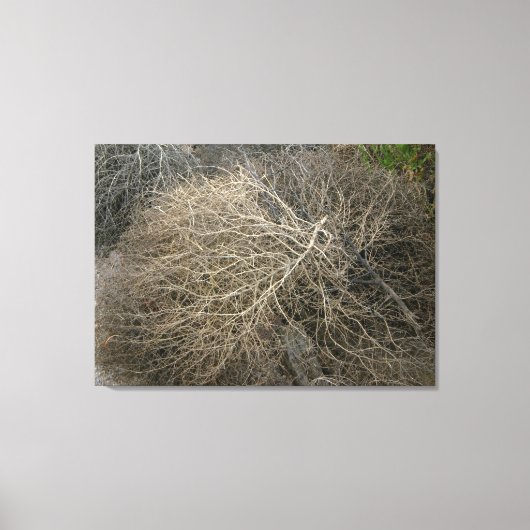 Rustieke Tumbleweed Wrapped Canvas Art (Voorkant)